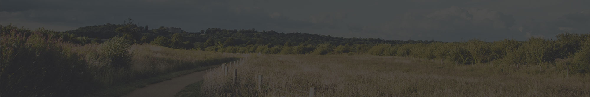Home_2_banner
