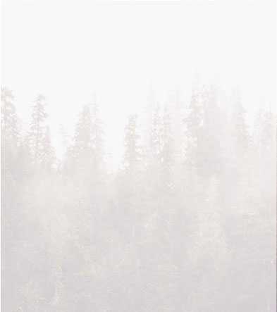 Home_2_img_0